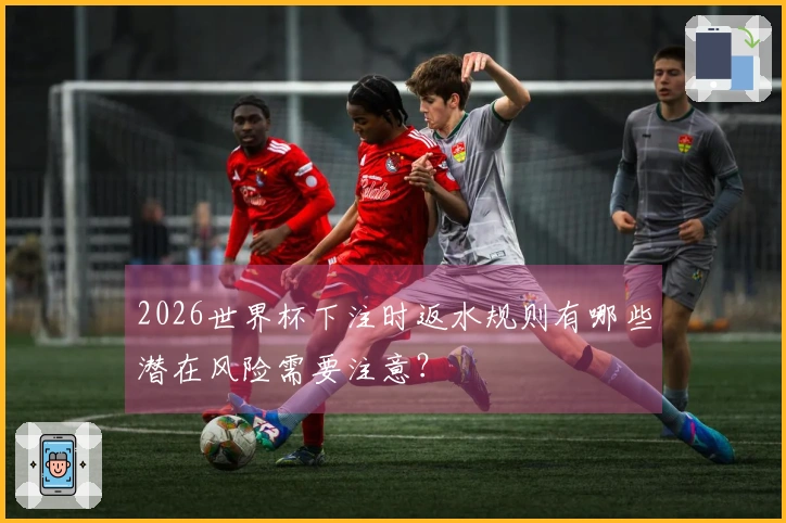 2026世界杯下注时返水规则有哪些潜在风险需要注意？