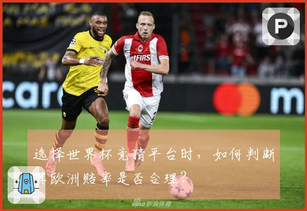 选择世界杯竞猜平台时，如何判断其欧洲赔率是否合理？