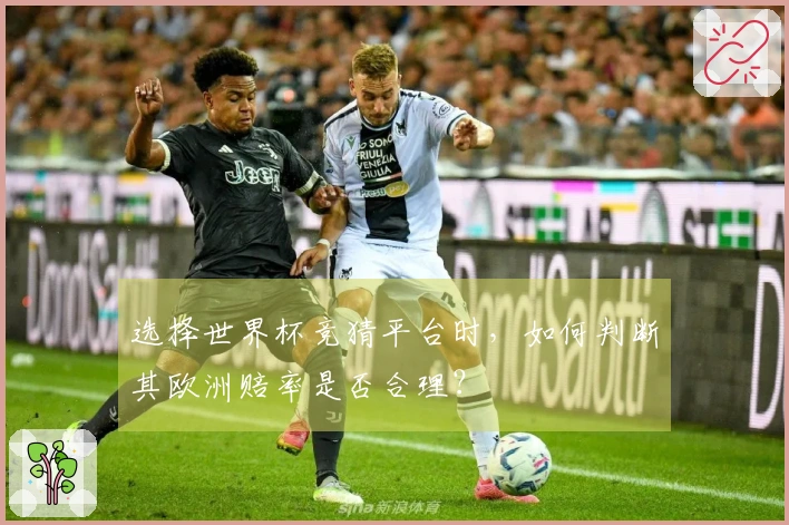 选择世界杯竞猜平台时，如何判断其欧洲赔率是否合理？