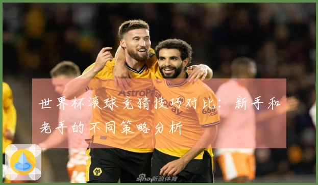 世界杯滚球竞猜技巧对比：新手和老手的不同策略分析