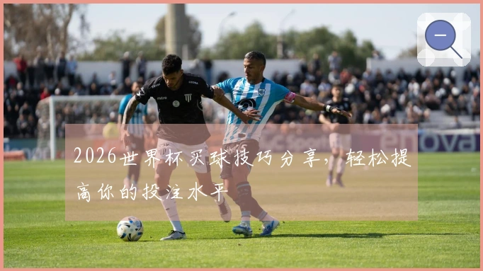 2026世界杯买球技巧分享，轻松提高你的投注水平