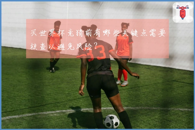 买世界杯竞猜前有哪些关键点需要核查以避免风险？