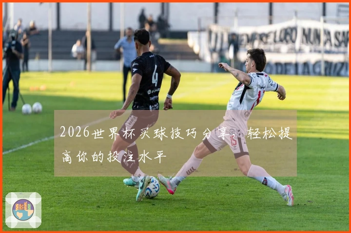 2026世界杯买球技巧分享，轻松提高你的投注水平
