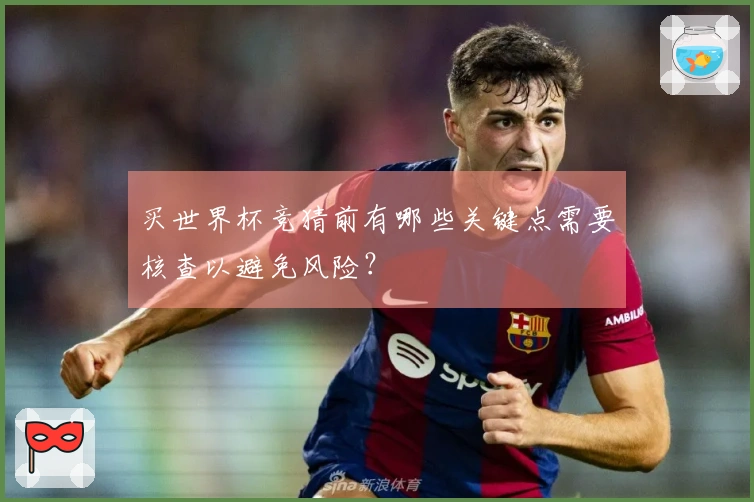 买世界杯竞猜前有哪些关键点需要核查以避免风险？